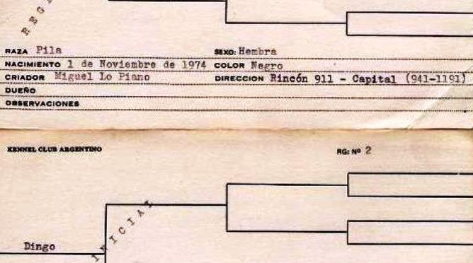 Registro de perros pila para explicar el significado del pedigree